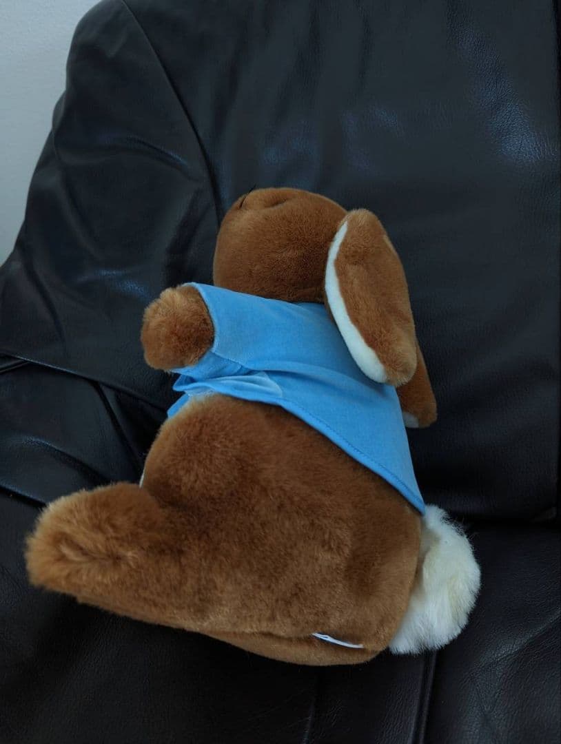 超稀少品✨ピーターラビット 生誕100周年ぬいぐるみ EDEN エデン