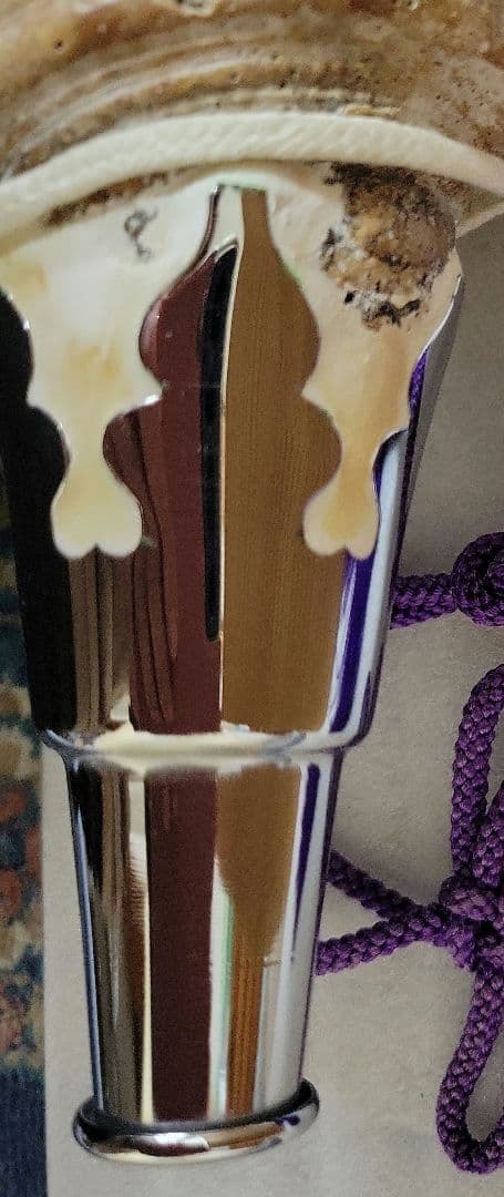 法螺貝　ホラガイ　約40cm