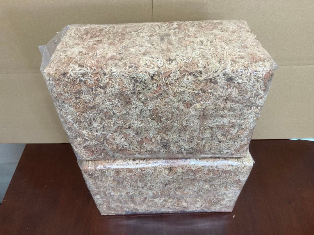 ニュージーランド産水苔ＡＡＡＡＡ250g２入り