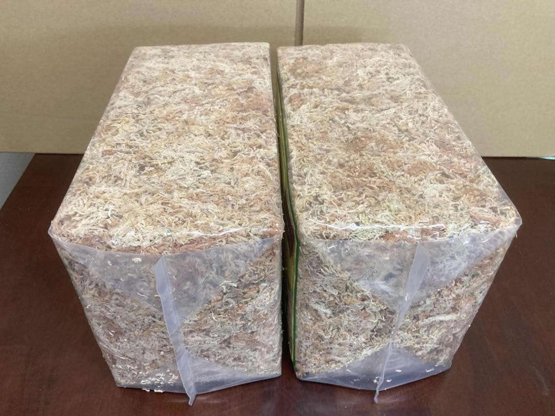 ニュージーランド産水苔ＡＡＡＡＡ250g２入り