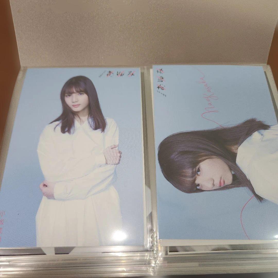 【超美品】日向坂46 小坂菜緒 ポストカード　セット　初期～　49枚セット