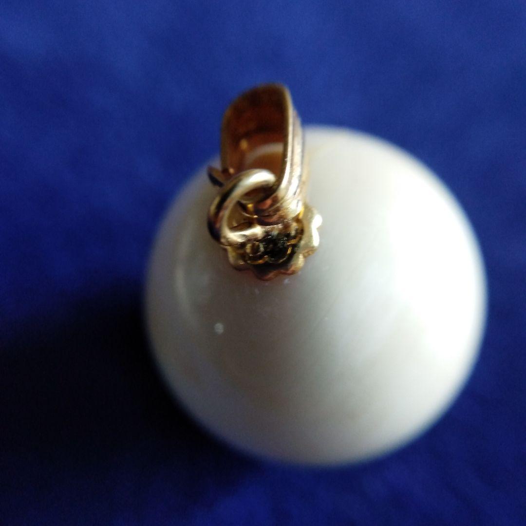 鯨歯　マッコウクジラ　牙玉　特大約17㎜　③