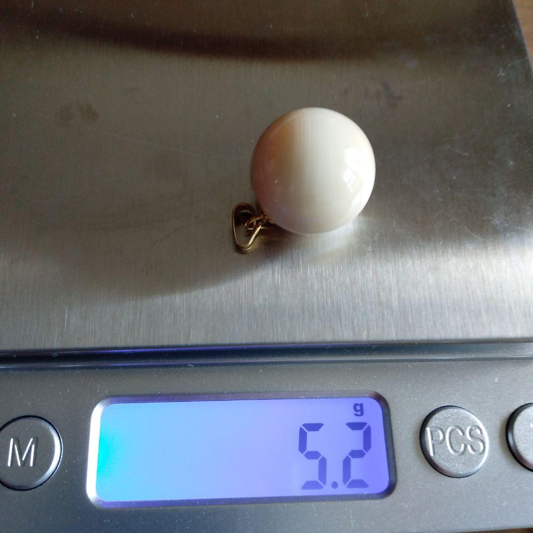 鯨歯　マッコウクジラ　牙玉　特大約17㎜　③