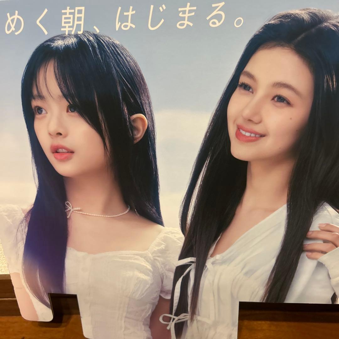 ニュージーンズ　エッセンシャル　POP 非売品