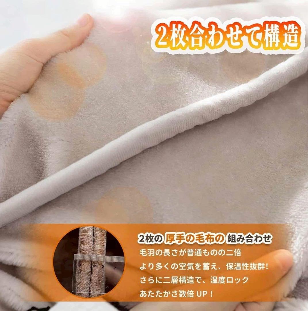 2個セット極暖二枚合わせ毛布 180×200 ふわ軽厚手 抗菌防臭 洗える毛布