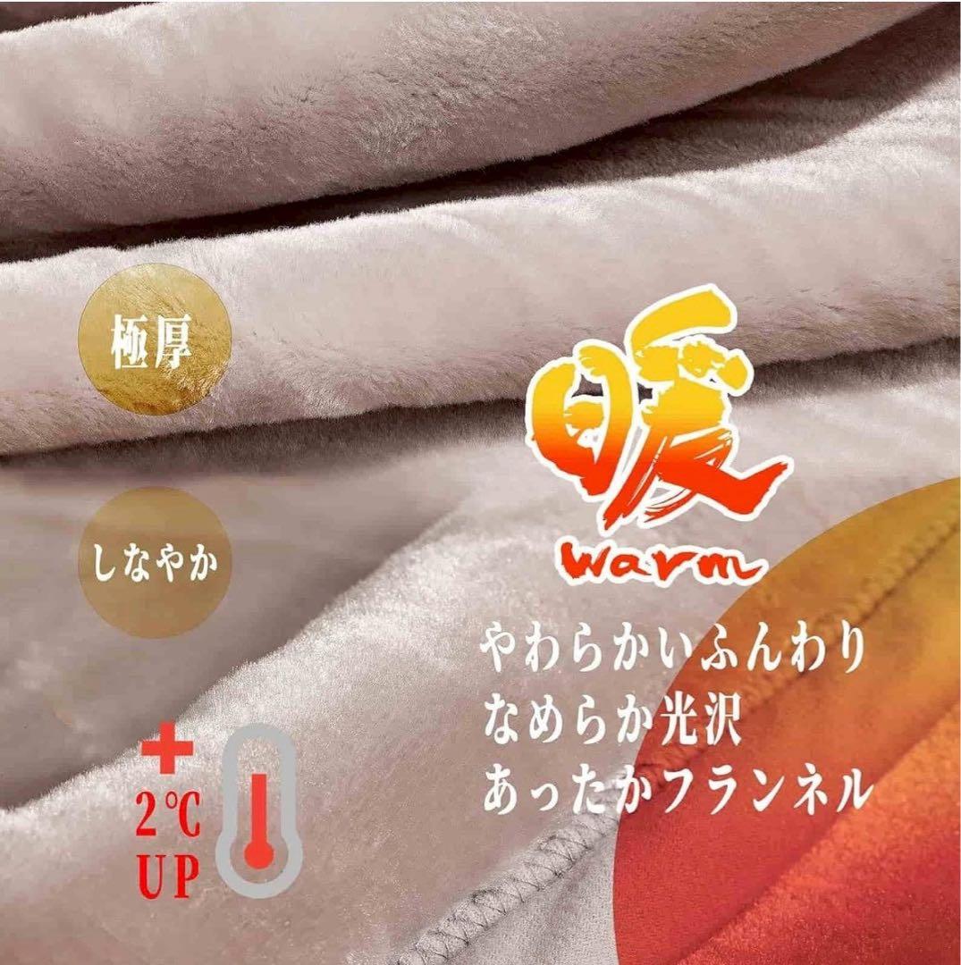 2個セット極暖二枚合わせ毛布 180×200 ふわ軽厚手 抗菌防臭 洗える毛布