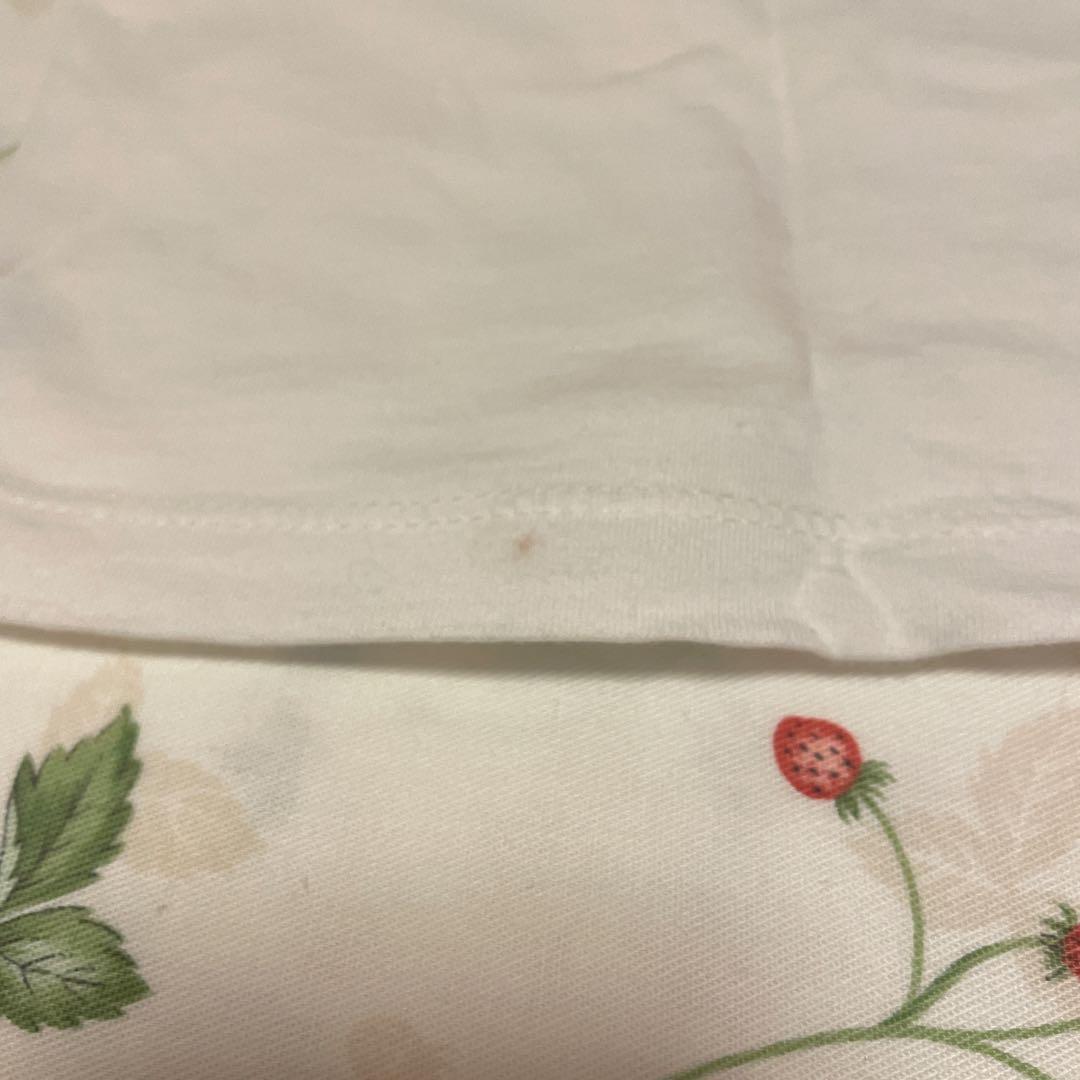 銀杏BOYZ Tシャツ　Sサイズ　池松壮亮