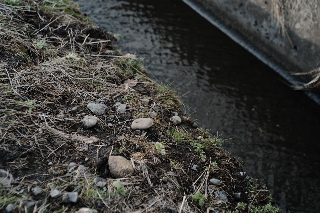 レンズ(単焦点) voigtlander color skopar 35mm f2.5c