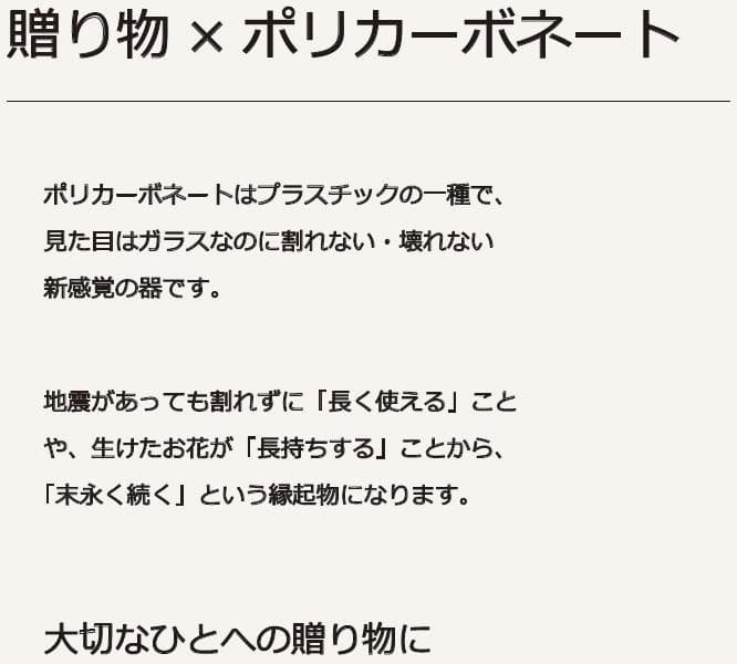 【割れないガラス!?】ポリカーボネート製品：2300137