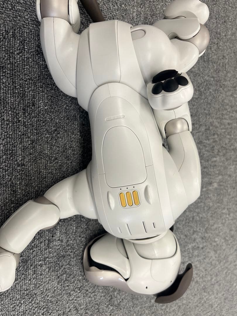 ソニー aibo アイボ ペットロボット ERS-1000 【中古】