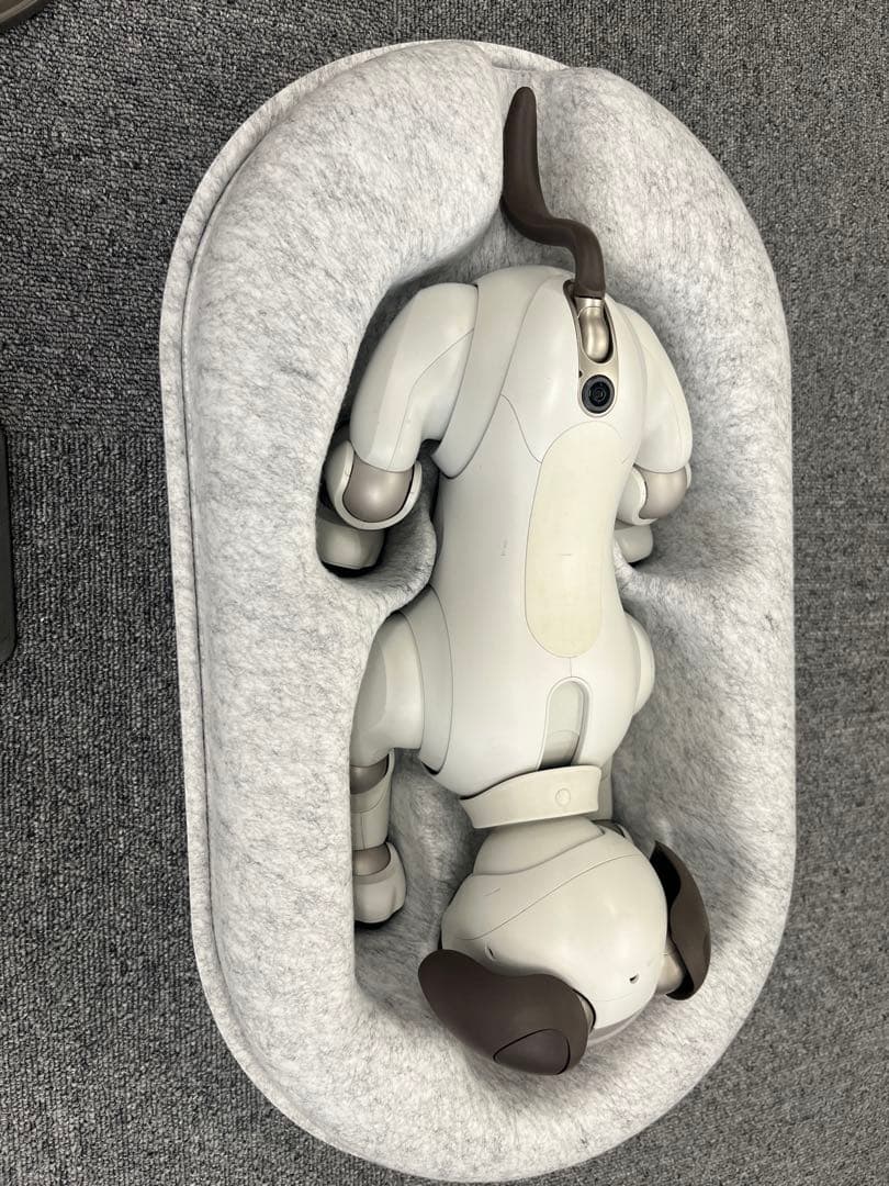 ソニー aibo アイボ ペットロボット ERS-1000 【中古】