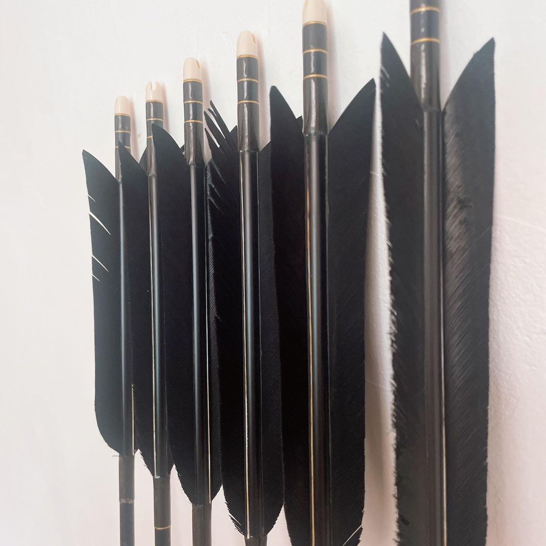 弓道 ジュラ矢 6本 2015