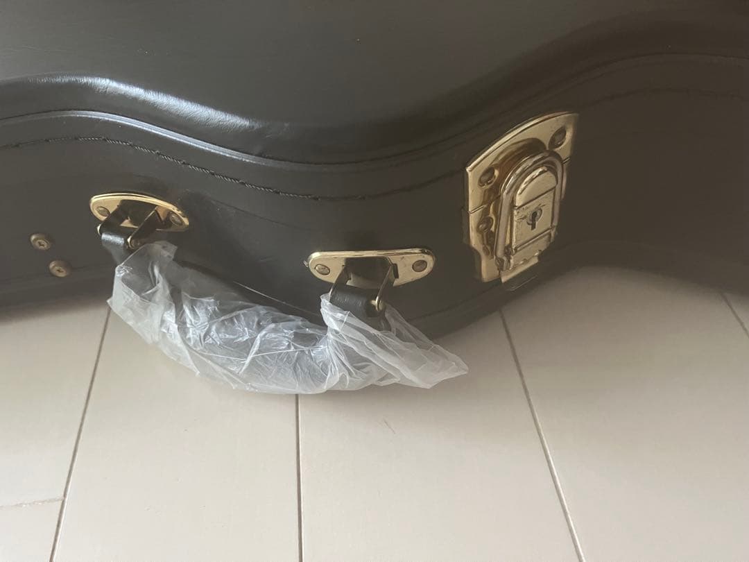 Epiphone Tak Matsumoto DCギター