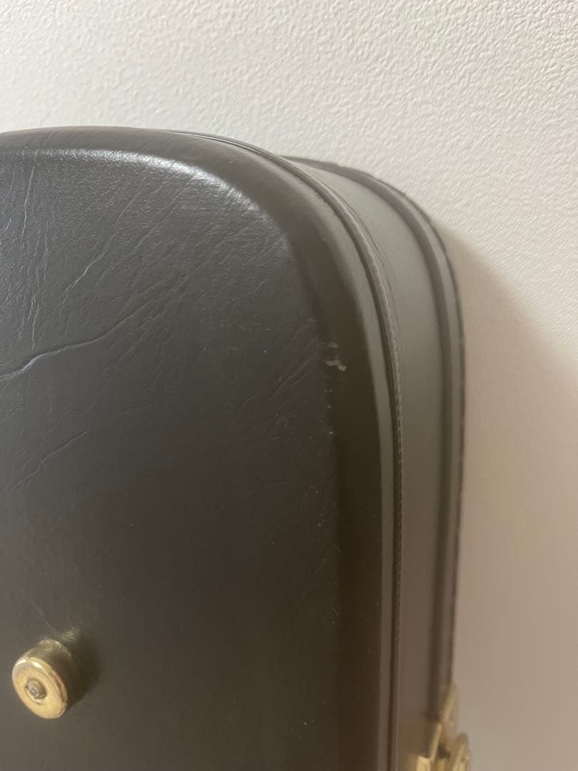 Epiphone Tak Matsumoto DCギター