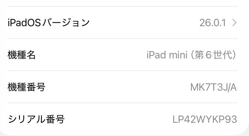 iPad mini 第6世代 256GB Wi-Fi
