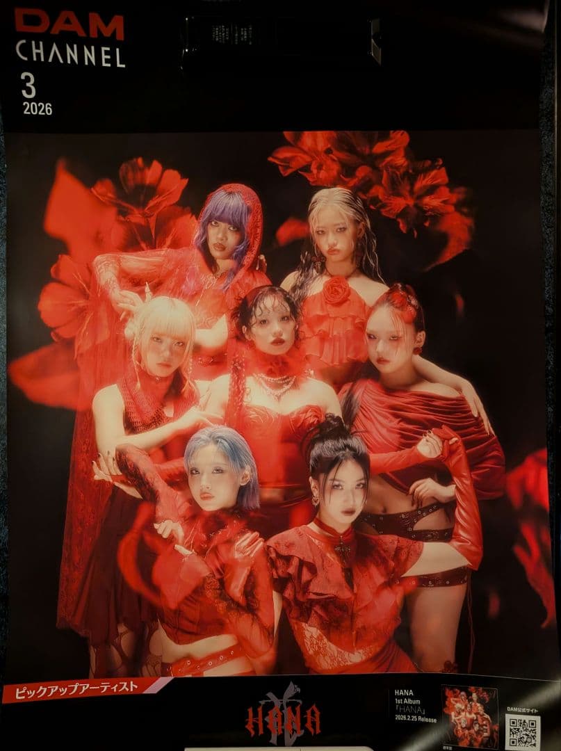 【非売品】HANA ハナ ポスター B1 B2 ２枚組