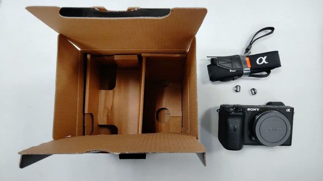 SONY α6600 ミラーレスカメラ 本体とストラップ　写真6枚目右下注意