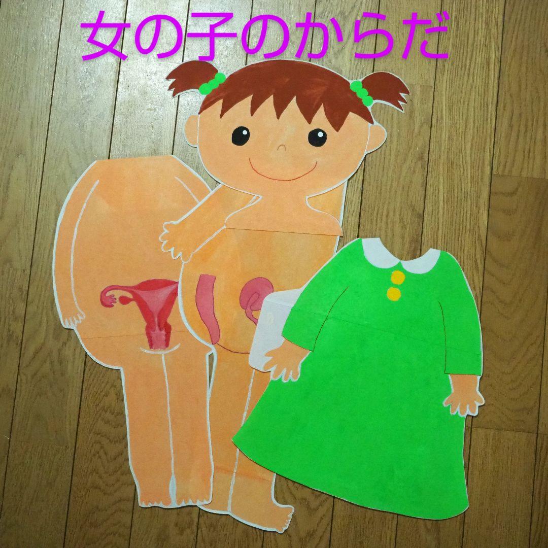 性教育 教材 男の子のからだ・女の子のからだセット○助産師 保健指導【受注生産】