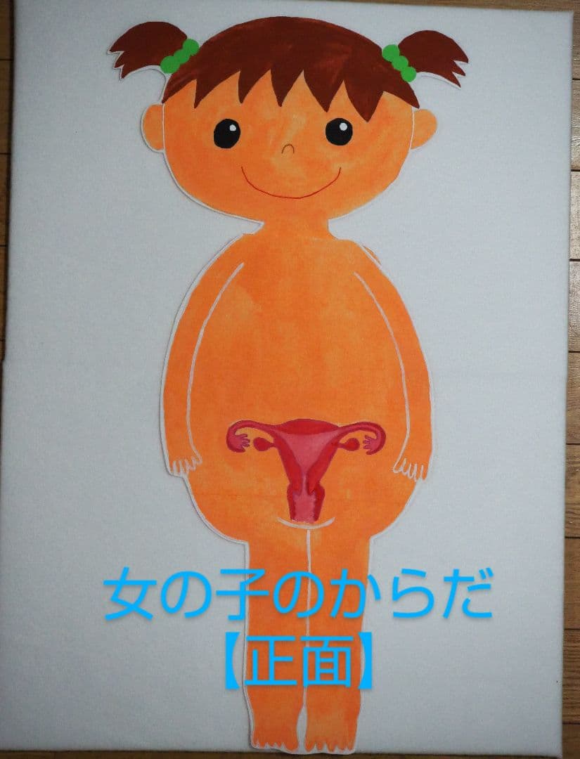 性教育 教材 男の子のからだ・女の子のからだセット○助産師 保健指導【受注生産】