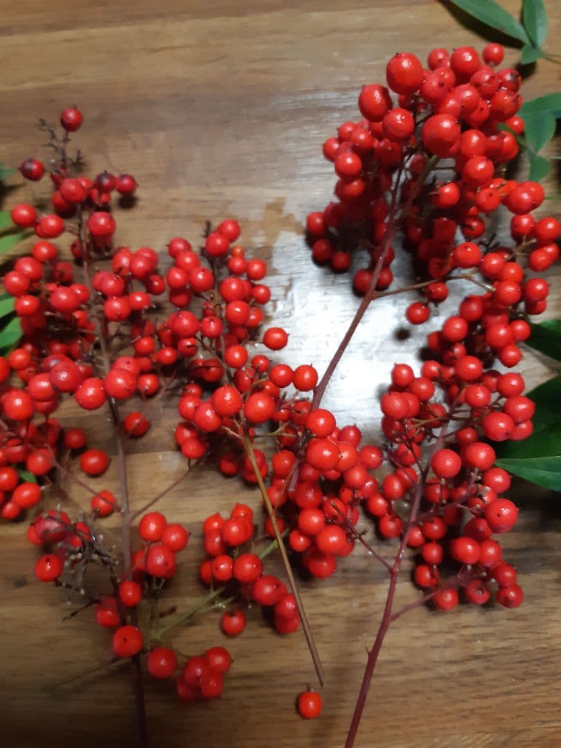 値下げ7,600円　未使用　山中塗3点セット　重箱、銘々皿、白磁の皿3枚、おまけ