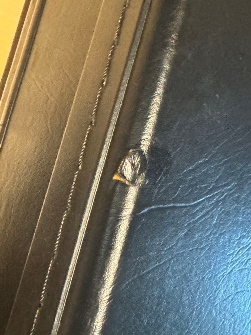 ギター EpiphoneTAK MATSUMOTO DC STANDARD