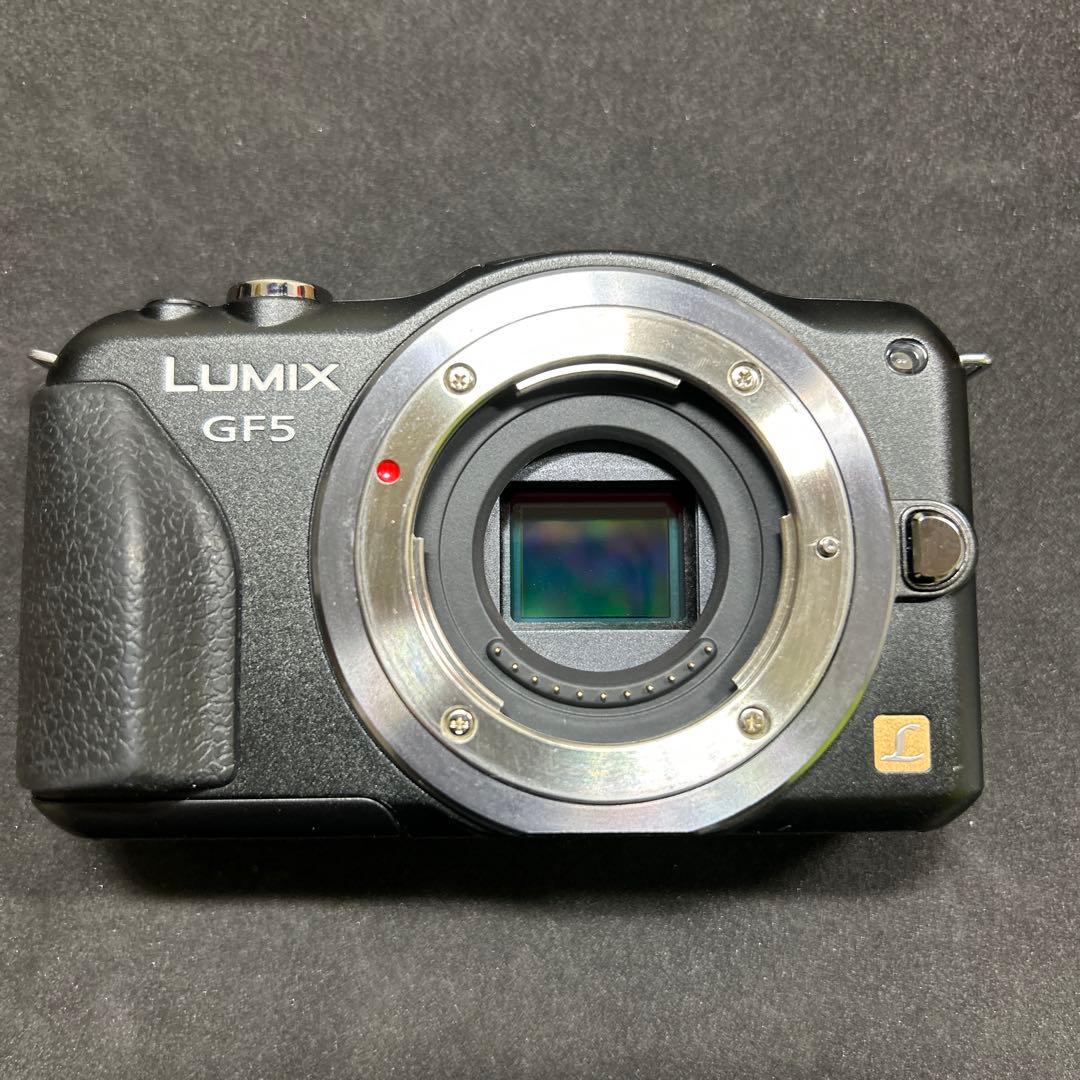 Panasonic LUMIX DMC-GF5 ボディ