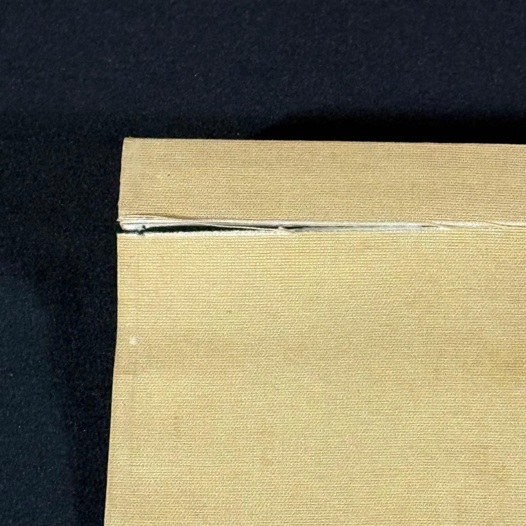 K8 根本雪蓬 「薔薇図」 掛軸 日本画 絹本 共箱