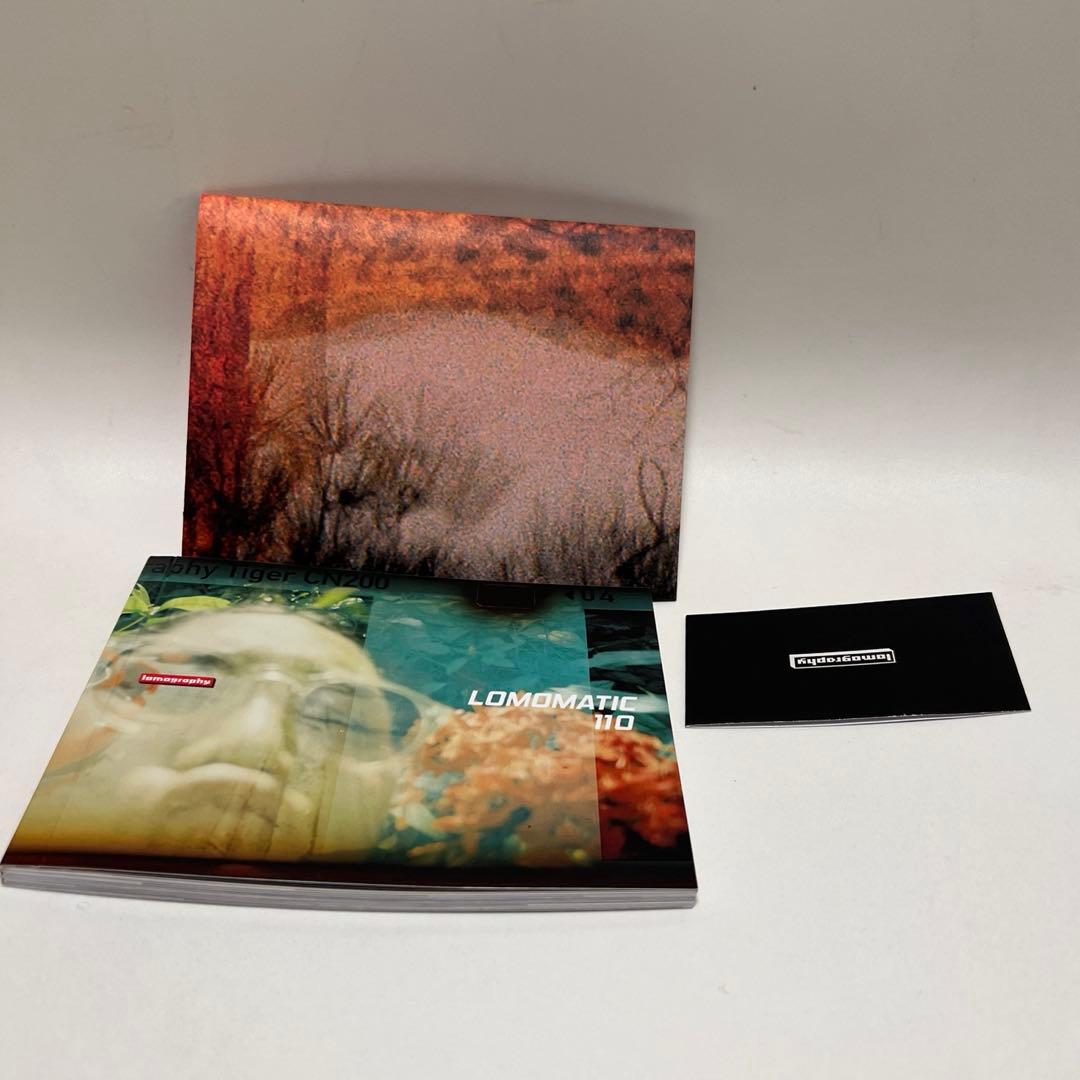 フィルムカメラ Lomography Lomomatic 110 Flash