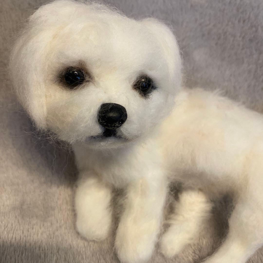 羊毛フェルト　マルチーズ