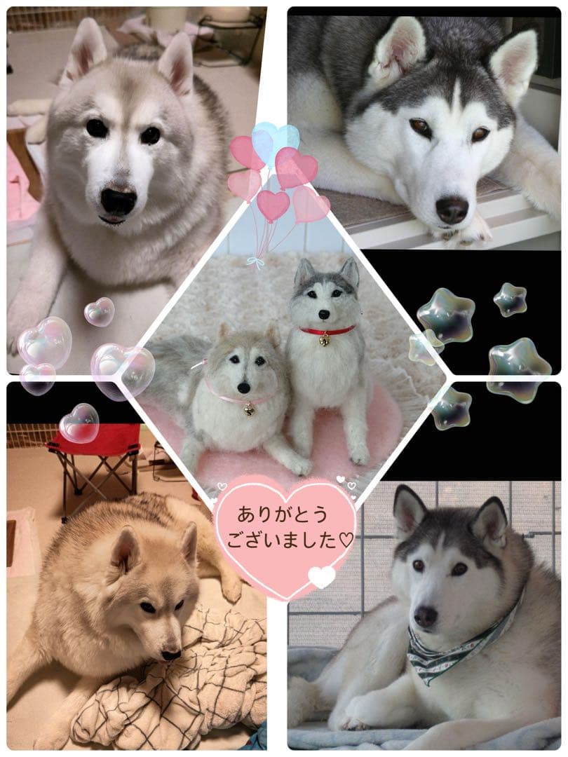 ＊羊毛フェルト＊うちの子オーダー　みーこ様