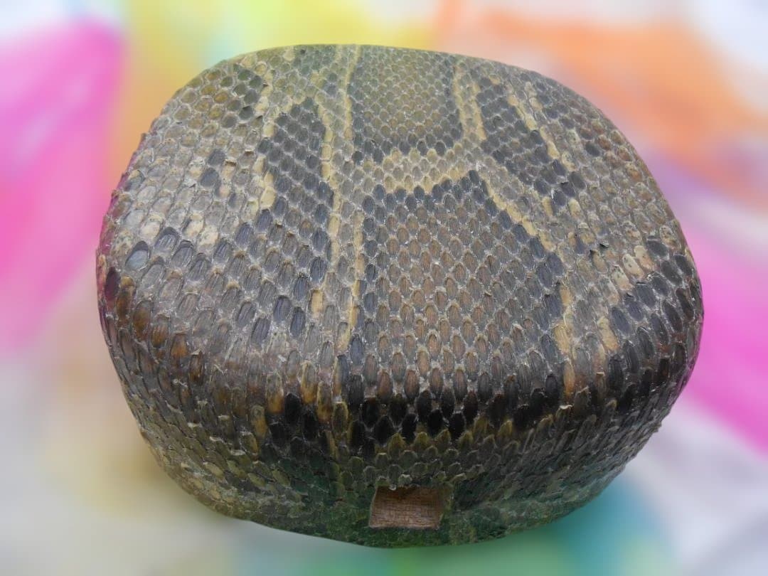 #4H現品販売　新品未使用14.980円N蛇皮強化(二重張)型チーガ今年３月作成