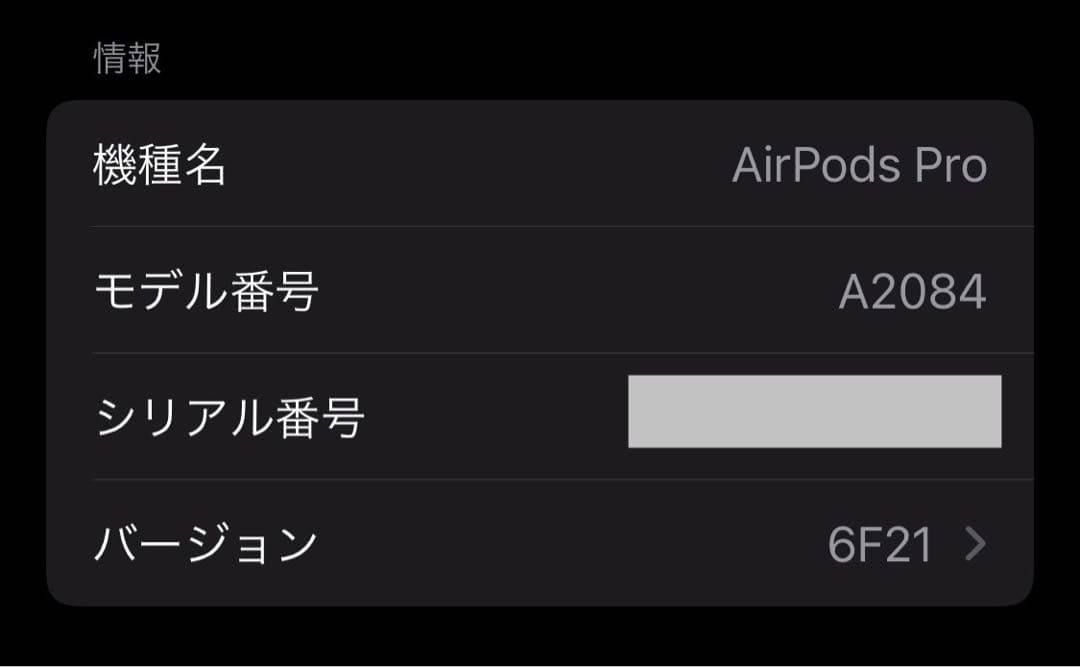 【美品】AirPods Pro 1 第1世代 A2084