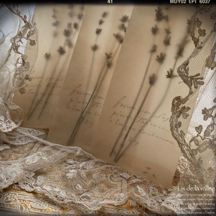 【再販】lavande.。.:♡* ラベンダー ドライフラワー