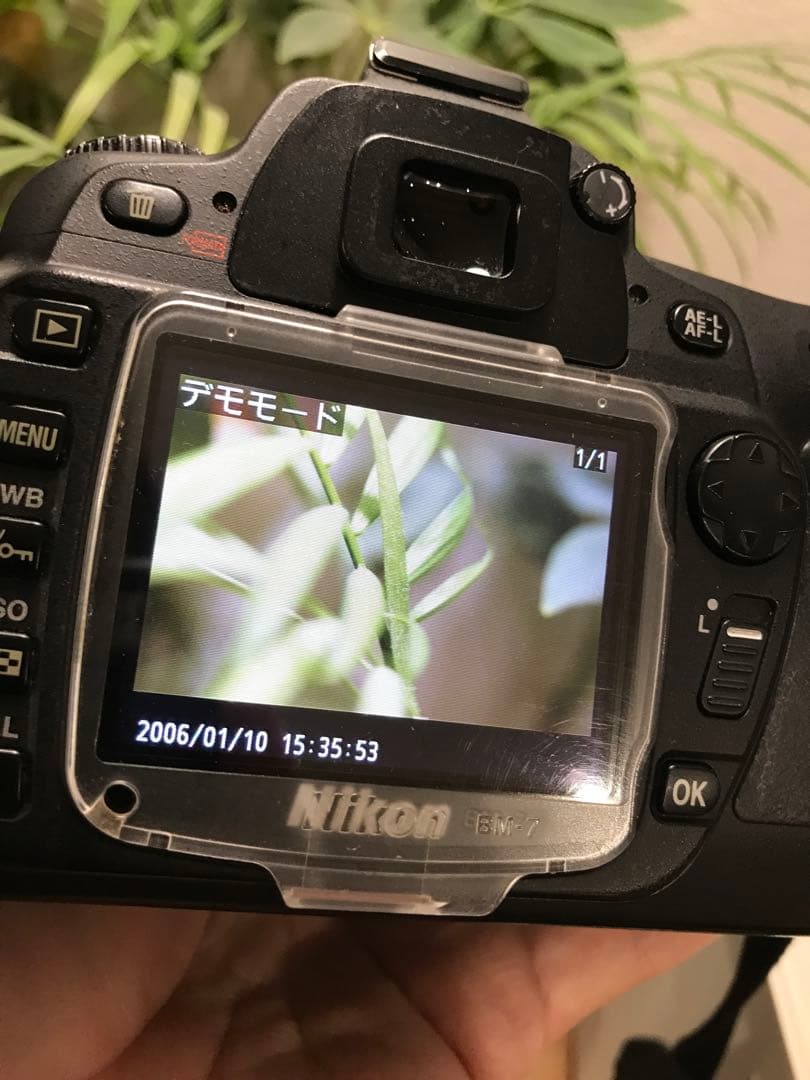 Nikon 単焦点レンズ AFmicro NIKKOR 55㎜　1:2.8