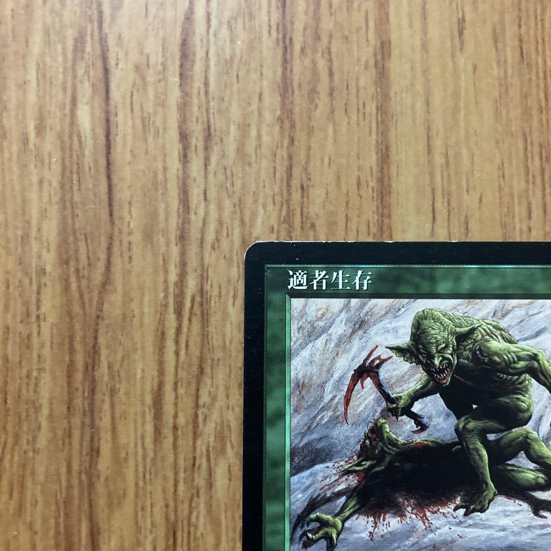 MTG 適者生存 / Survival of the Fittest（日2枚）