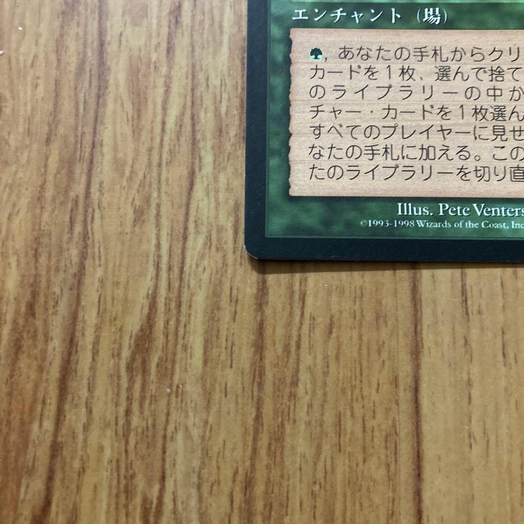 MTG 適者生存 / Survival of the Fittest（日2枚）