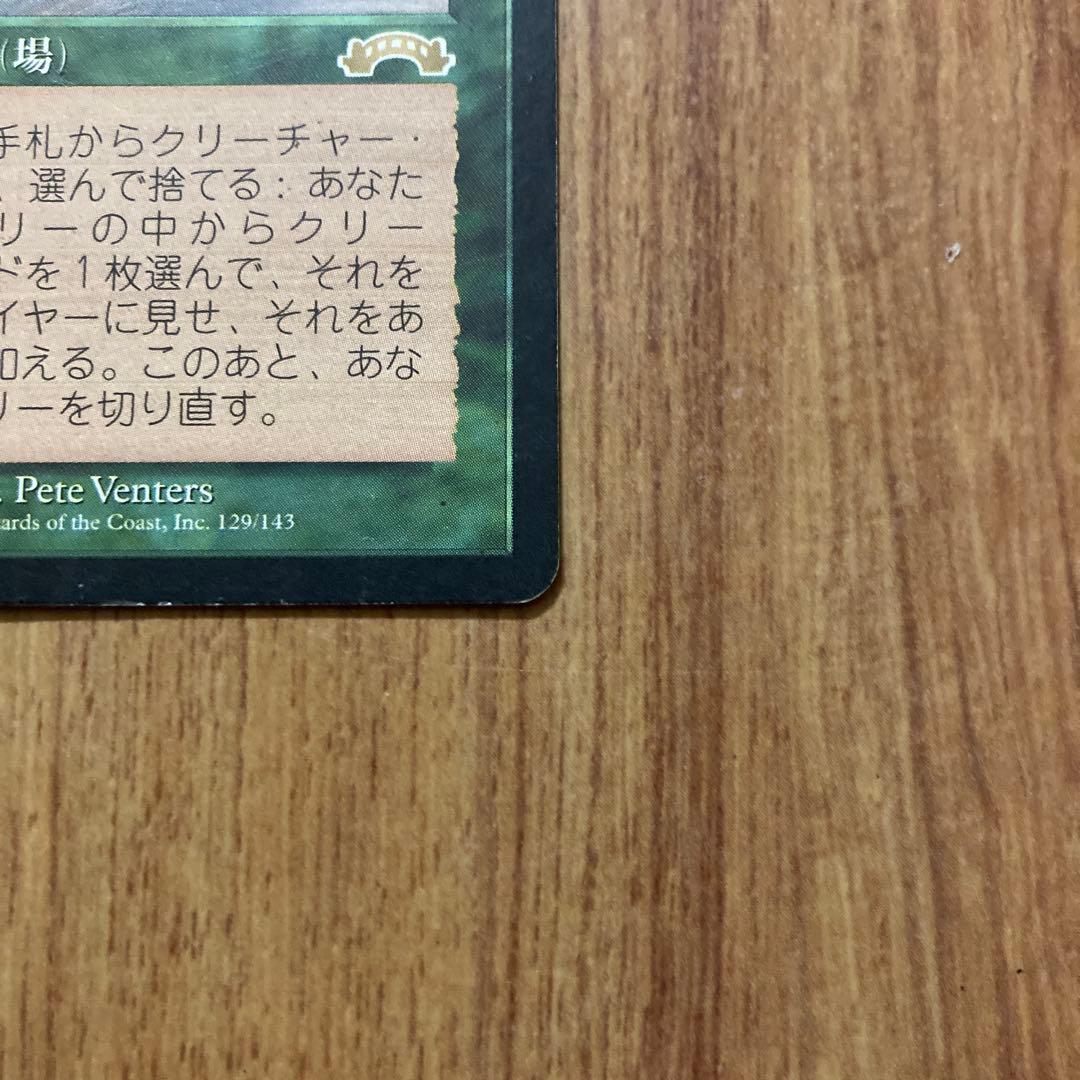 MTG 適者生存 / Survival of the Fittest（日2枚）