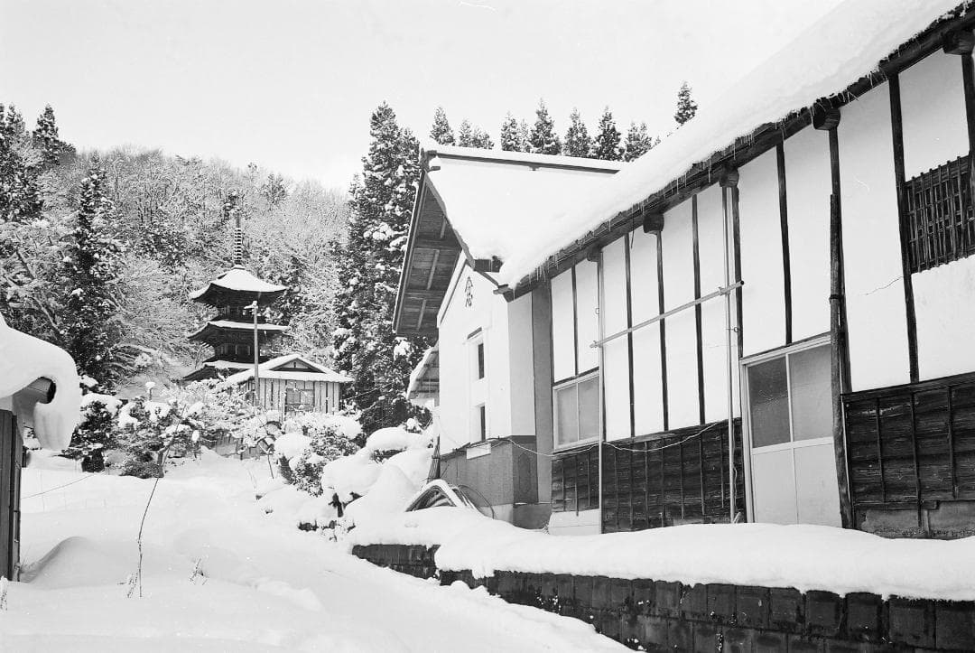 オリンパス35UC／Gズイコー42mmf1.7フード付【実写確認済整備品】