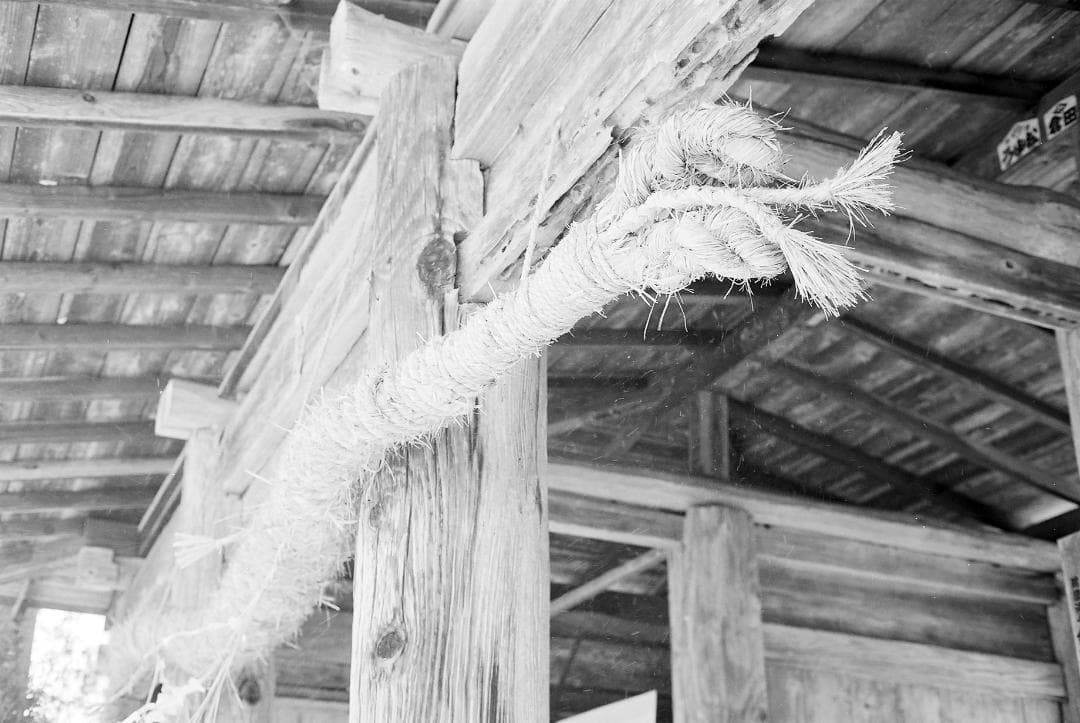 オリンパス35UC／Gズイコー42mmf1.7フード付【実写確認済整備品】