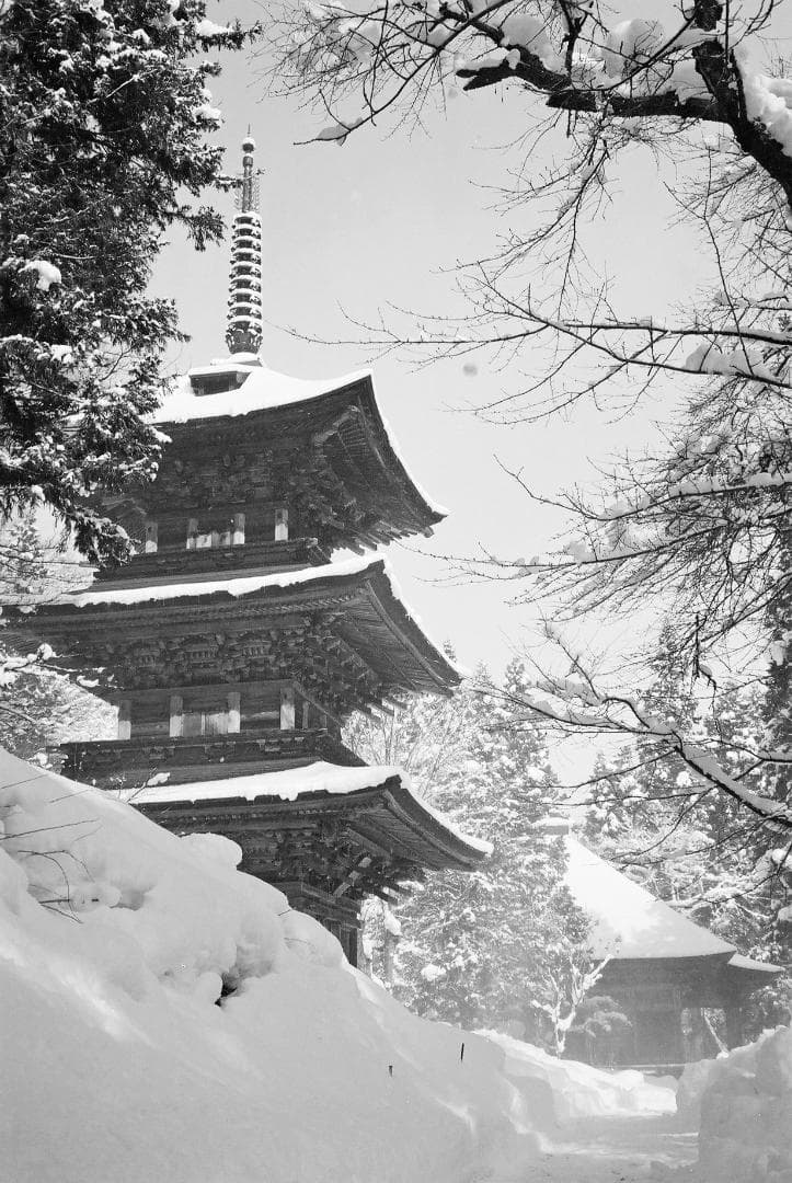 オリンパス35UC／Gズイコー42mmf1.7フード付【実写確認済整備品】