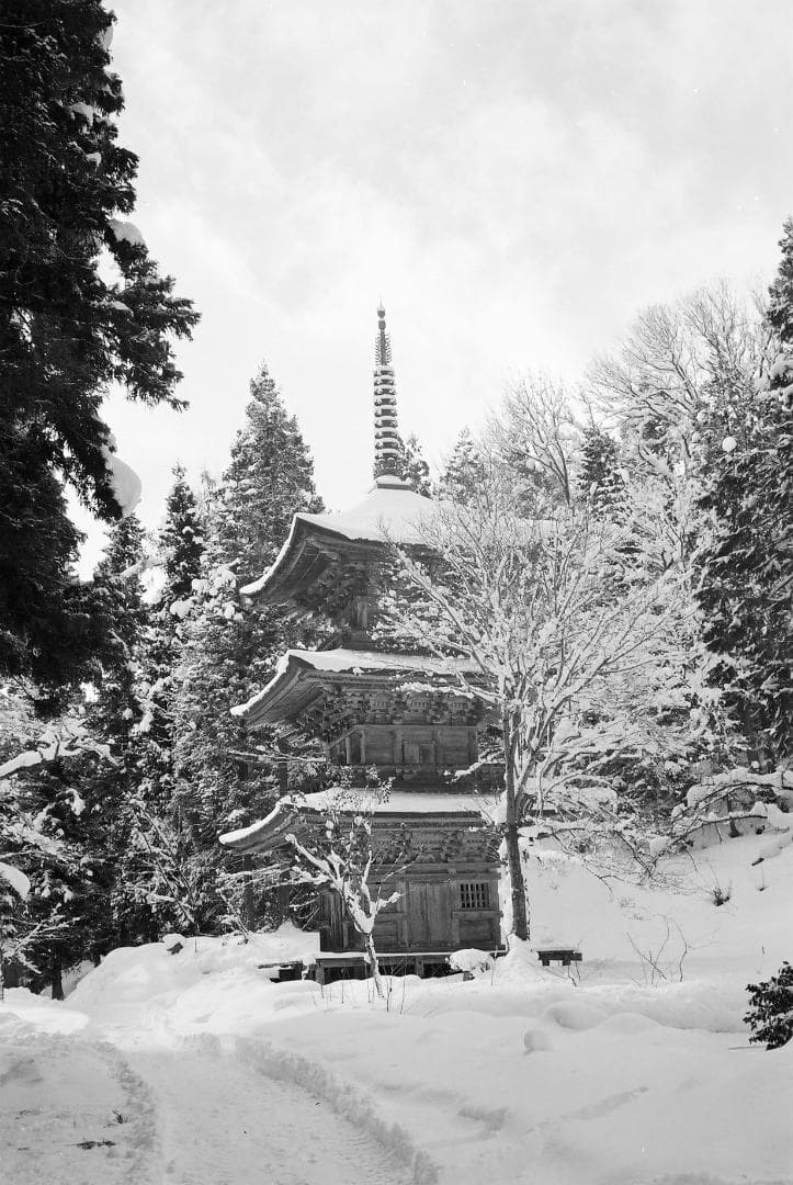 オリンパス35UC／Gズイコー42mmf1.7フード付【実写確認済整備品】