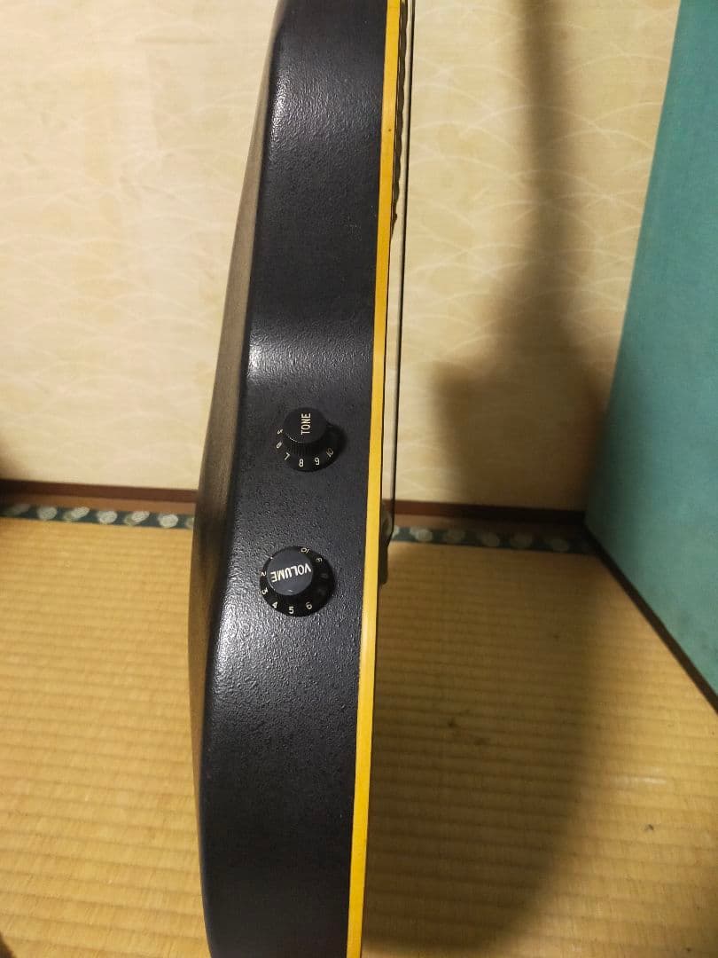 Pro Martin プロマーティン エレアコ