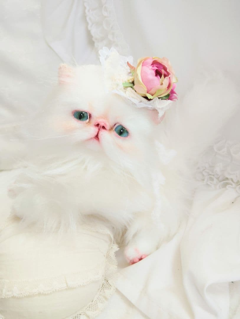 生後3ヶ月♡子猫ちゃん♡綺麗なオメメの美人さん♡アートドール♡ぬいぐるみ♡