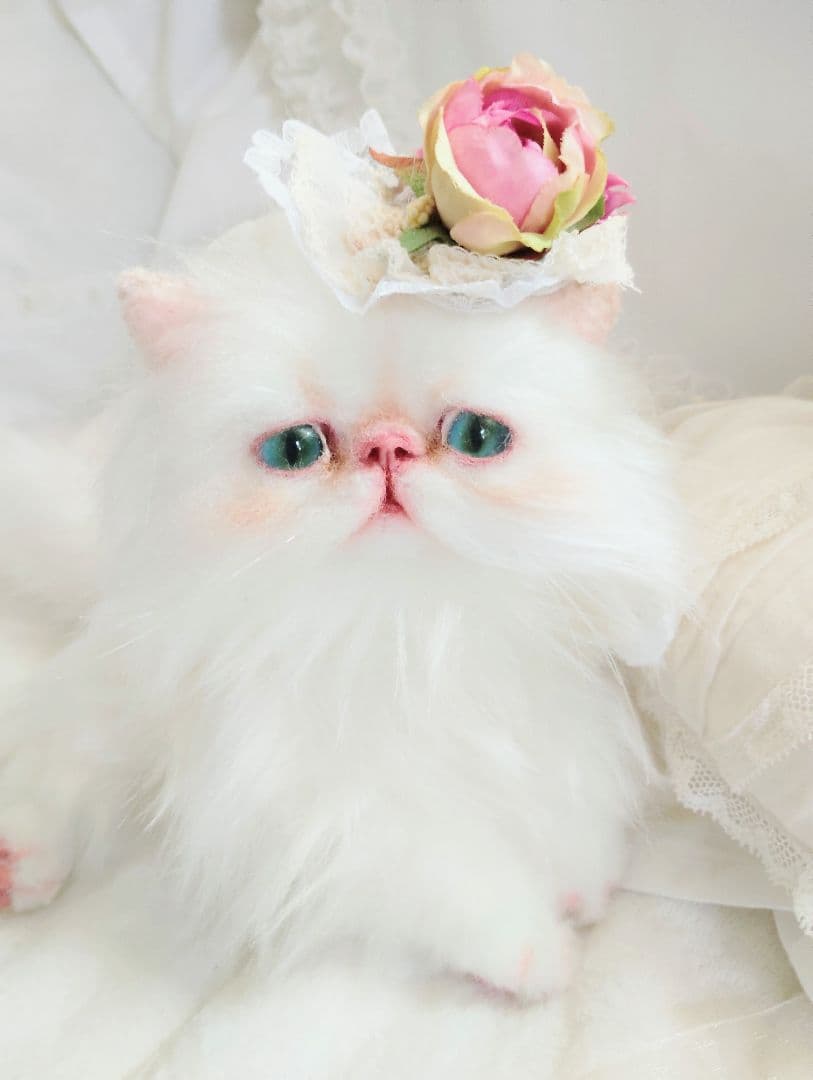 生後3ヶ月♡子猫ちゃん♡綺麗なオメメの美人さん♡アートドール♡ぬいぐるみ♡