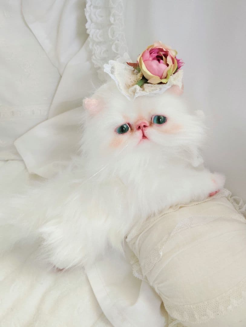 生後3ヶ月♡子猫ちゃん♡綺麗なオメメの美人さん♡アートドール♡ぬいぐるみ♡