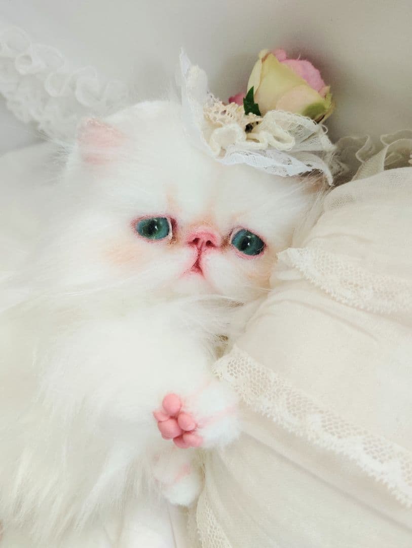 生後3ヶ月♡子猫ちゃん♡綺麗なオメメの美人さん♡アートドール♡ぬいぐるみ♡
