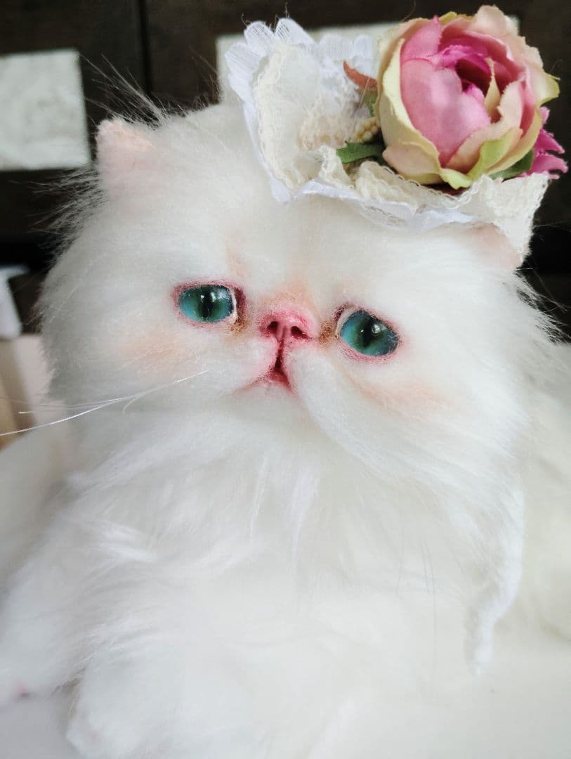 生後3ヶ月♡子猫ちゃん♡綺麗なオメメの美人さん♡アートドール♡ぬいぐるみ♡