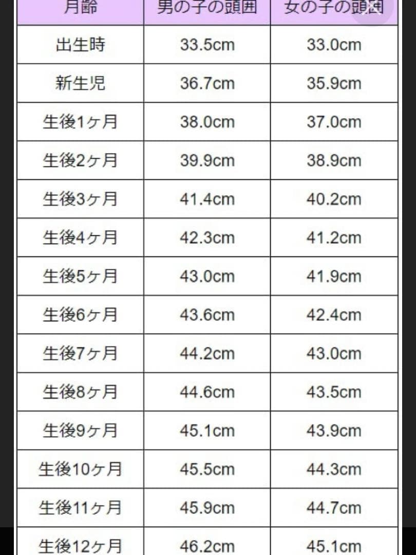 生地見本　スタイ　ハンドメイド