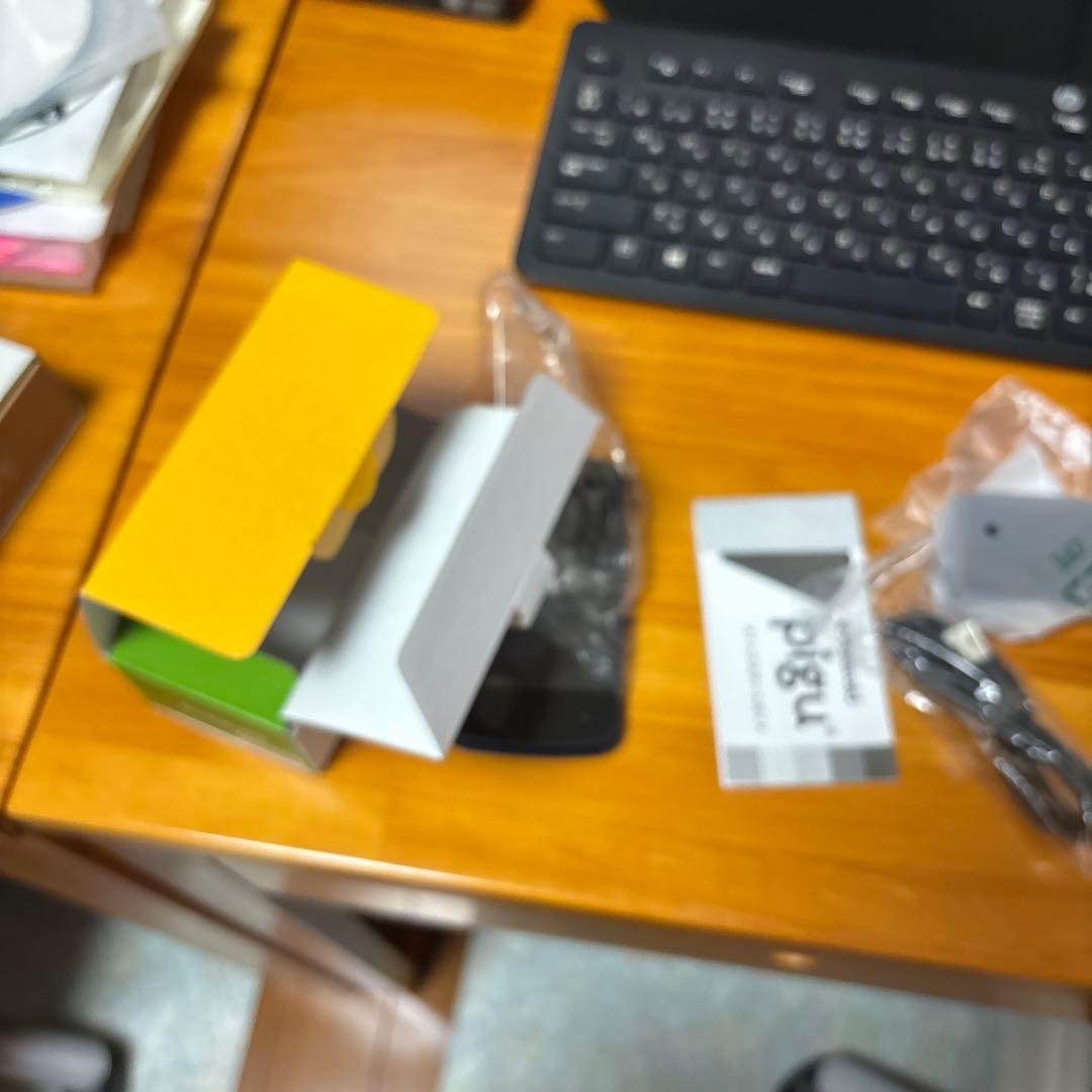 Polaroid pigu ブラック 未使用品
