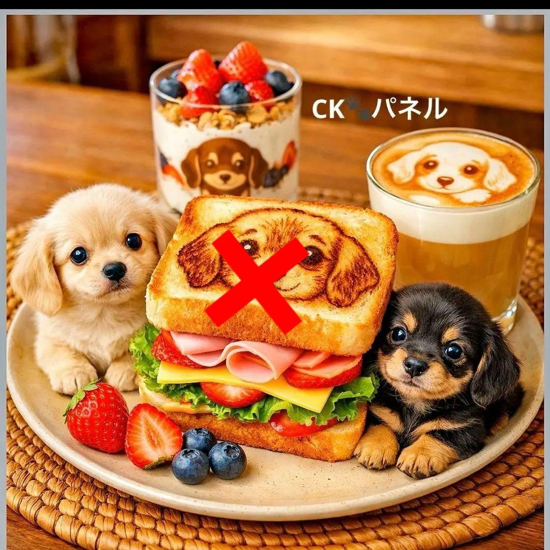 激レアチワワ、ダックス、ポメラニアン、柴犬、パグ、フレンチブルパネル生地